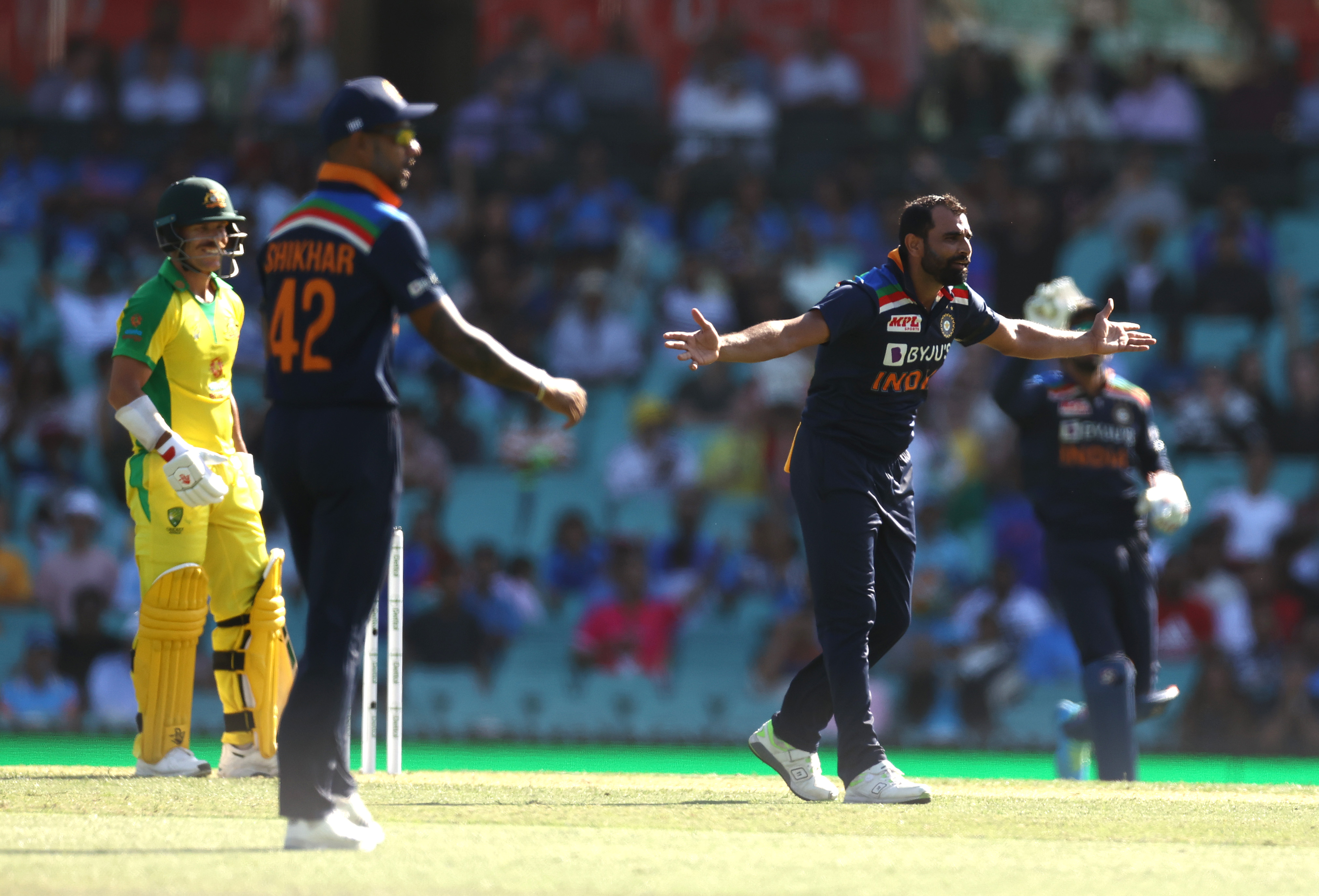 Mohammed Shami during first ODI against Australia at SCG