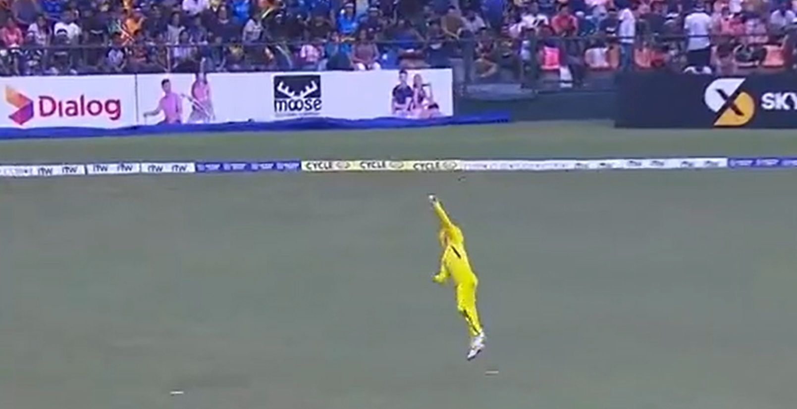 SL vs AUS 2022 | Internet reacts to David Warner’s one-handed blinder versus Sri Lanka